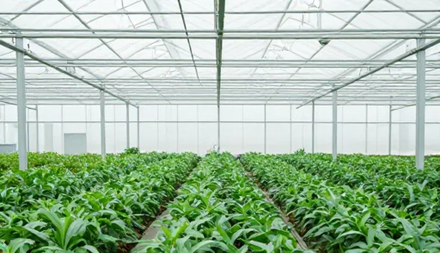 业务优化中服务选型的两个实际环节分析