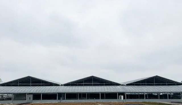 成本控制中的关键检查点与优化策略